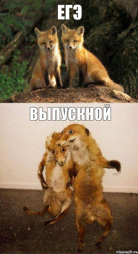 егэ выпускной