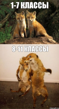 1-7 классы 8-11 классы