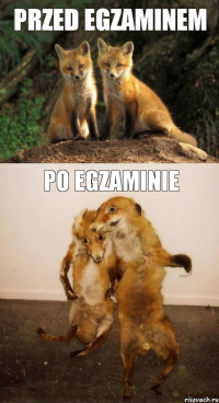 Przed egzaminem po egzaminie