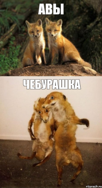 АВЫ Чебурашка