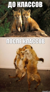 До классов После классов