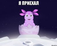 я приехал 