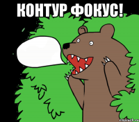 Контур фокус! 