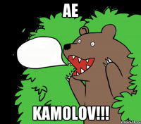 ae KAMOLOV!!!