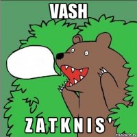 Vash Z A T K N I S '