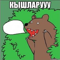 Кышларууу 