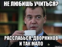 НЕ ЛЮБИШЬ УЧИТЬСЯ? РАССЛАБЬСЯ, ДВОРНИКОВ И ТАК МАЛО