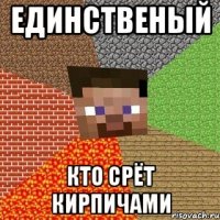 единственый кто срёт кирпичами