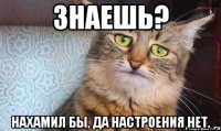 Знаешь? Нахамил бы, да настроения нет.