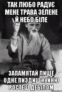 Так любо радує мене трава зелене й небо біле запамятай лише одне ПИЗДИШ ХУЙНЮ РОСТЕШ ДЕБІЛОМ