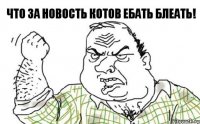 что за новость котов ебать блеать!