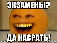 экзамены? да насрать!