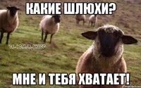 какие шлюхи? мне и тебя хватает!