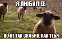 я любил ее, но не так сильно, как тебя