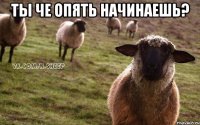 ты че опять начинаешь? 