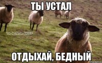 ты устал отдыхай, бедный