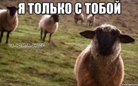 я только с тобой 