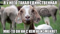 я у него такая единственная мне-то он ни с кем не изменяет