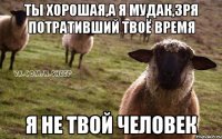 Ты хорошая,а я мудак,зря потративший твоё время Я не твой человек