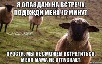 Я опаздаю на встречу. Подожди меня 15 минут. Прости, мы не сможем встретиться. Меня мама не отпускает.