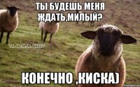 ты будешь меня ждать,милый? конечно ,киска)