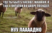 Где ты был 5 часов?- Манюня, я так, с Виталой во дворе посидел нуу лаааадно