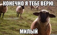 конечно я тебе верю, милый