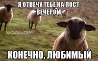 Я отвечу тебе на пост. Вечером. Конечно, любимый