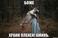 БОЖЕ ХРАНИ ОЛЕНЕЙ! АМИНЬ.