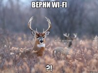 Верни wi-fi ?!