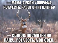 — Мама, а если у жирафа рога есть, разве он не олень? — Сынок, посмотри на папу....рога есть, а он осел.