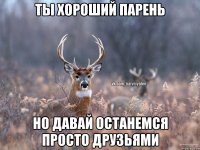 Ты хороший парень Но давай останемся просто друзьями