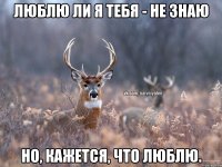 Люблю ли я тебя - не знаю Но, кажется, что люблю.