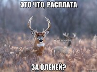 Это что, расплата За оленей?