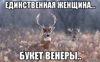 Единственная женщина... Букет венеры..