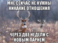 мне сейчас не нужны никакие отношения через две недели с новым парнем