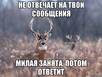 Не отвечает на твои сообщения Милая занята, потом ответит