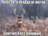 прости...я правда не могла конечно я все понимаю :-*