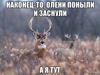 Наконец-то, олени поныли и заснули А я тут