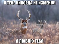 Я тебе никогда не изменю! Я люблю тебя