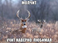 молчит учит наверно, любимая