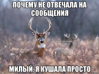 почему не отвечала на сообщения милый, я кушала просто