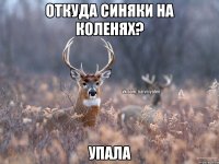 откуда синяки на коленях? упала