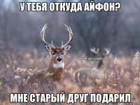 У тебя откуда айфон? Мне старый друг подарил