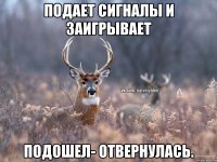 Подает сигналы и заигрывает Подошел- отвернулась.