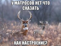 У матросов нет что сказать Как настроение?