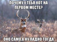 Почему у тебя кот на первом месте? оно само,а ну ладно тогда