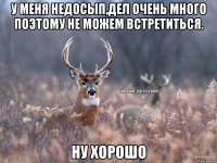 У меня недосып,дел очень много поэтому не можем встретиться. ну хорошо