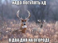 надо погулять хД Я два дня на огороде