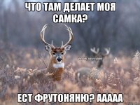 что там делает моя самка? ест фрутоняню? ааааа